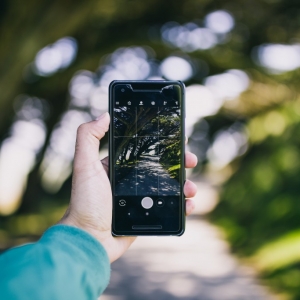 phone-photography-treelined-path