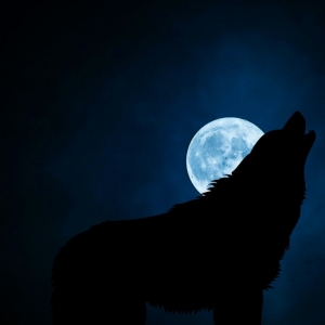 wolf-3022813_1920