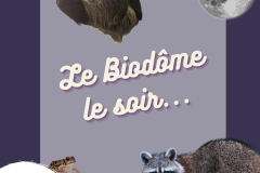 Conférence La plongé au Saint-Laurent marin (9)