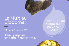 Programmation 2023 (1)