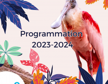 Calendrier publications