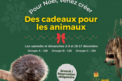 Prog. Infolettre (Publication Instagram (Carré))