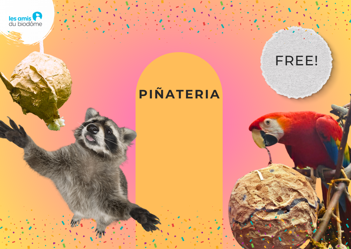 Piñateria Friends of the Biodôme