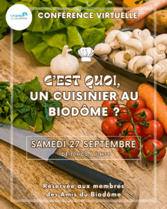 Visuels prog sept.-dec. 2025 (Publication Instagram (45)) (1)