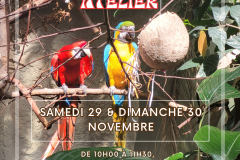 Visuels prog sept.-dec. 2025 (Publication Instagram (45)) (4)
