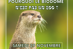 Visuels prog sept.-dec. 2025 (Publication Instagram (45)) (6)