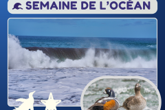 10 - activité océan