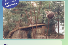 11 - conférence écosystème