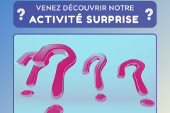 12 - ACTIVITÉ SURPRISE