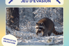 19 - activité évasion