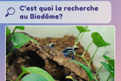 20 - conférence recherche