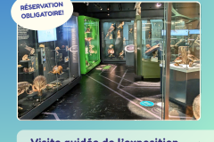 3 - activité visite NTS