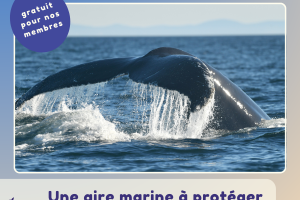 5 - conférence trésor