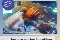 5 - conférence trésor