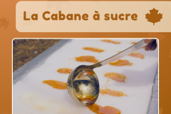 6 - activité cabane