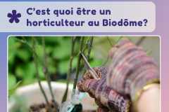 8 - conférence horticulteur