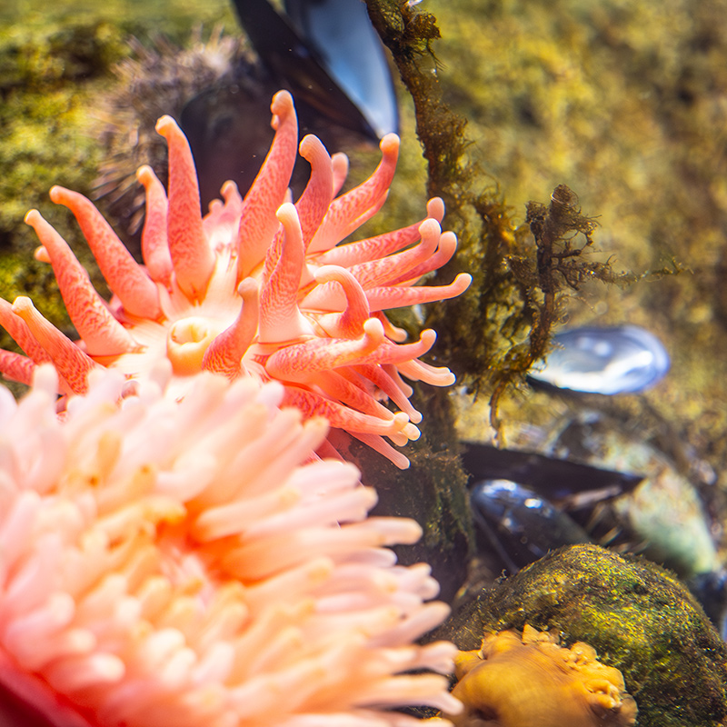 Pourquoi soutenir le Biodôme de Montréal?
