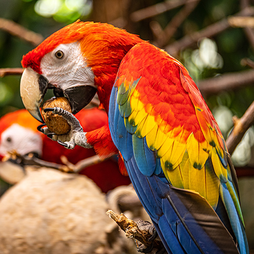 Pourquoi soutenir le Biodôme de Montréal?