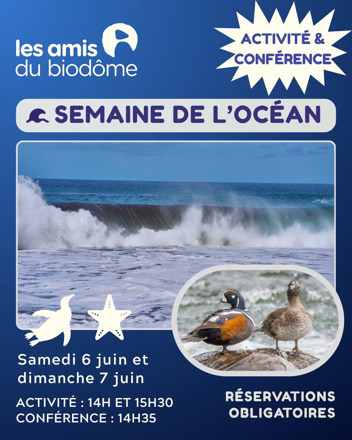 10 - activité océan