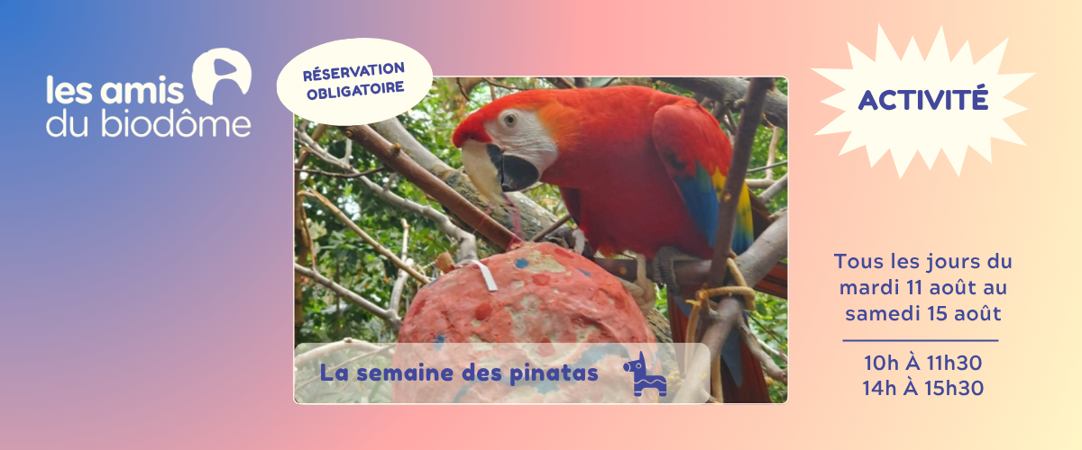 La Piñateria au Biodôme