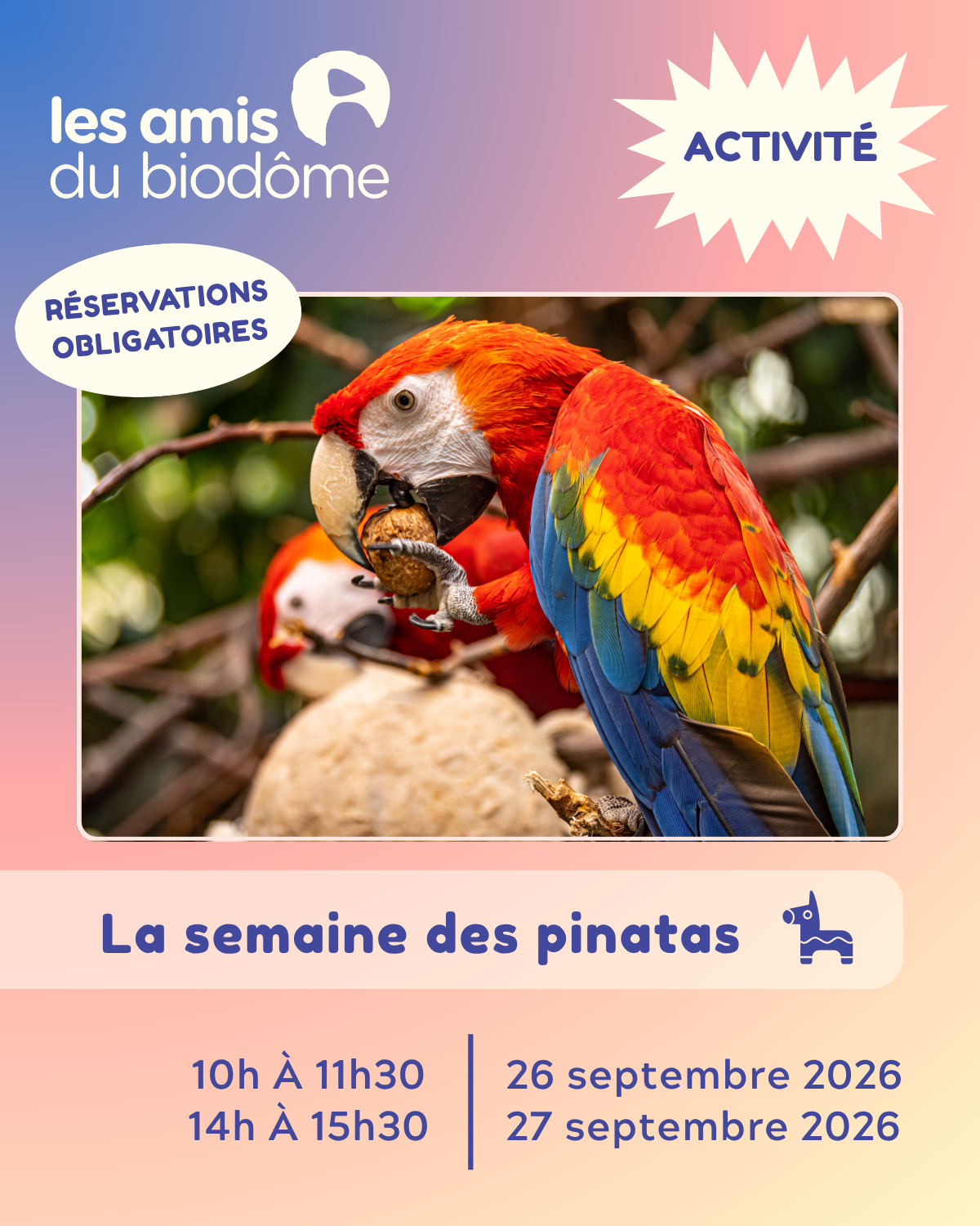 13 - activités pinatas (3)