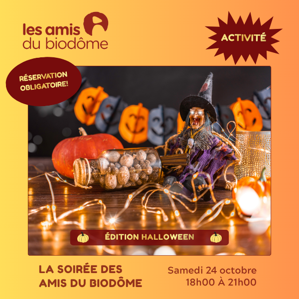 21 - activité amis