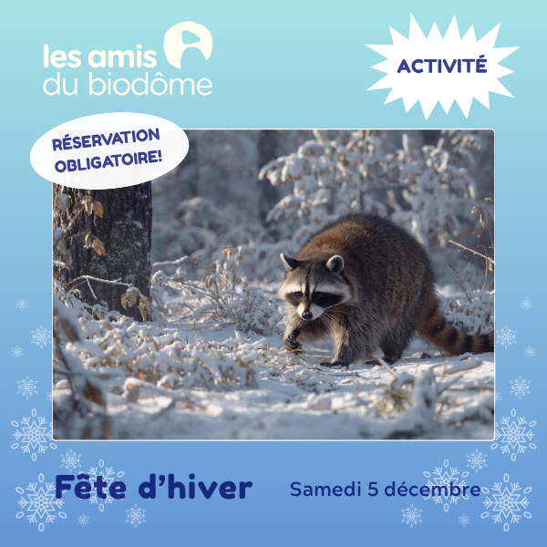 Fête hiver (2)
