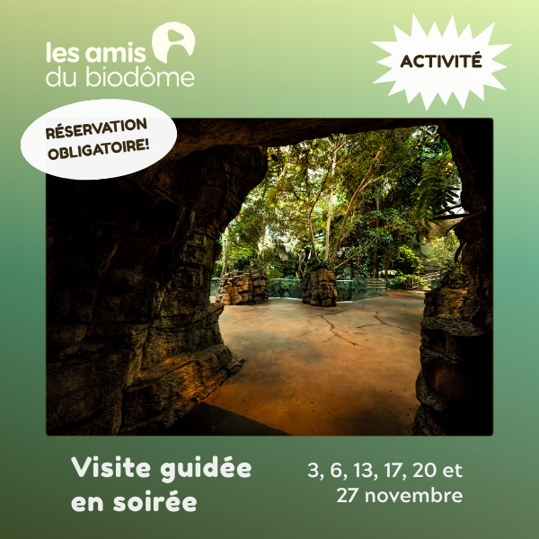 Viste guidée (2)